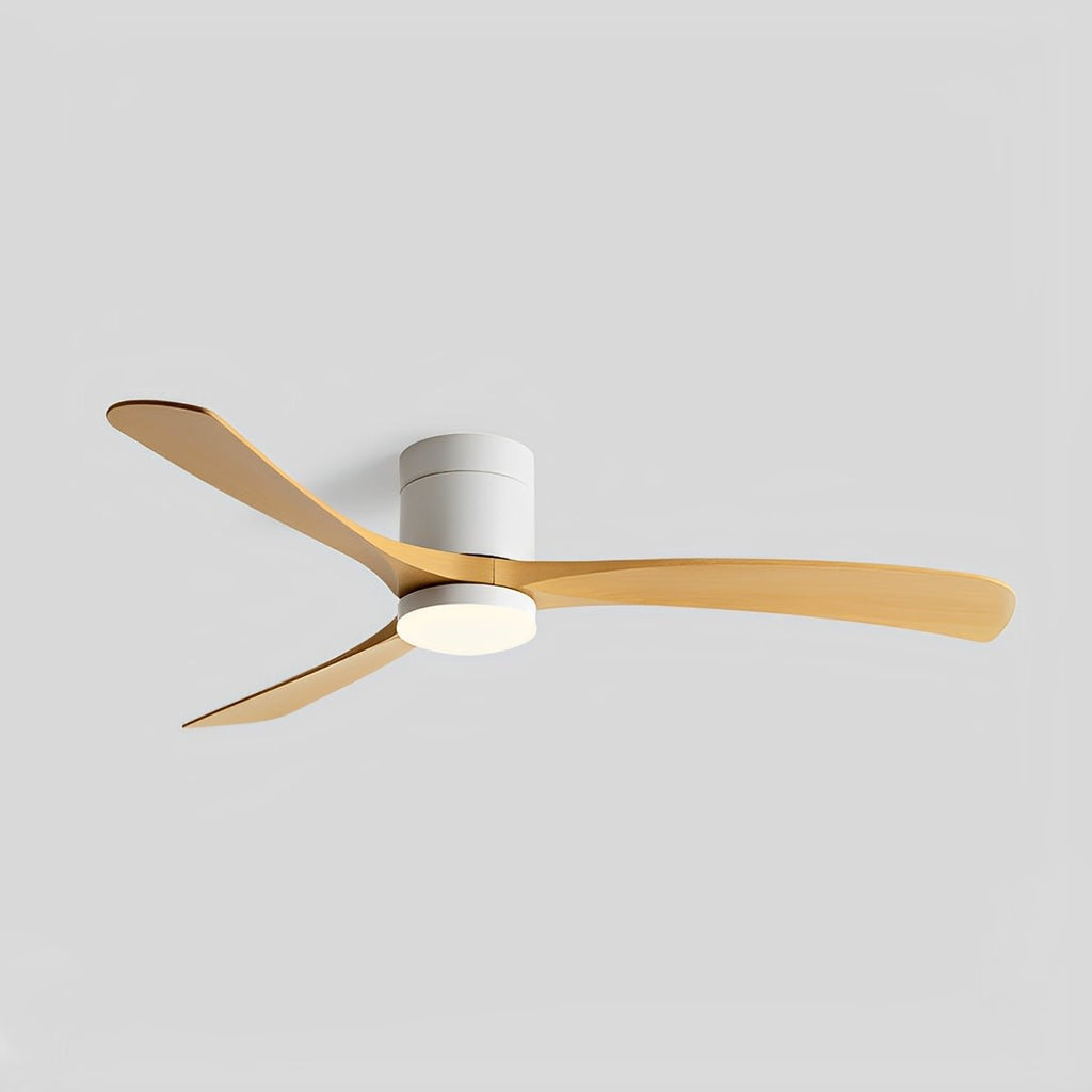 Ventilateur de plafond salle à manger