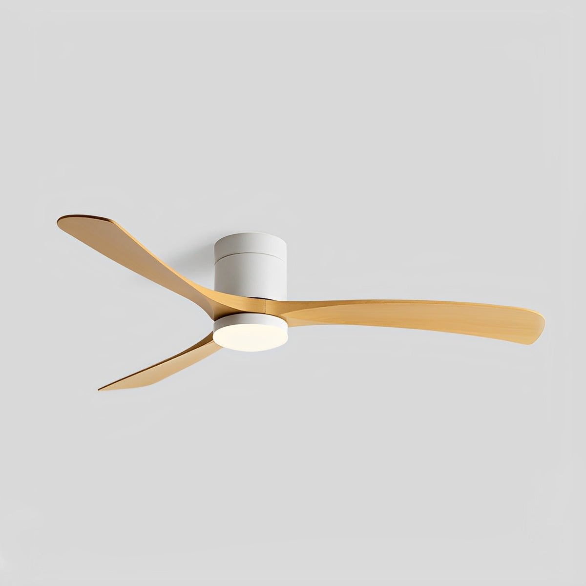 Ventilateur de plafond salle à manger